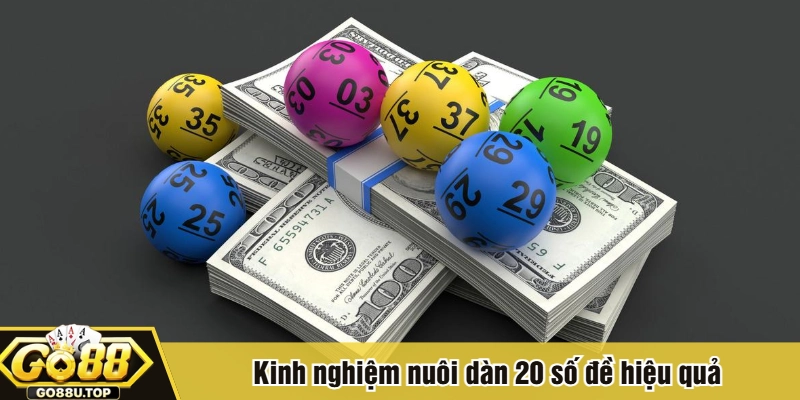 Kinh nghiệm nuôi dàn 20 số đề hiệu quả