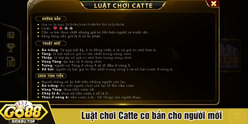 Luật chơi Catte cơ bản cho người mới