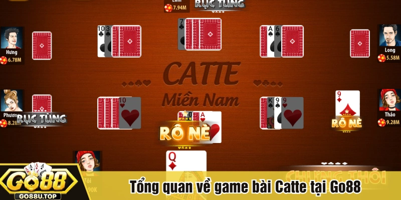 Tổng quan về game bài Catte tại Go88